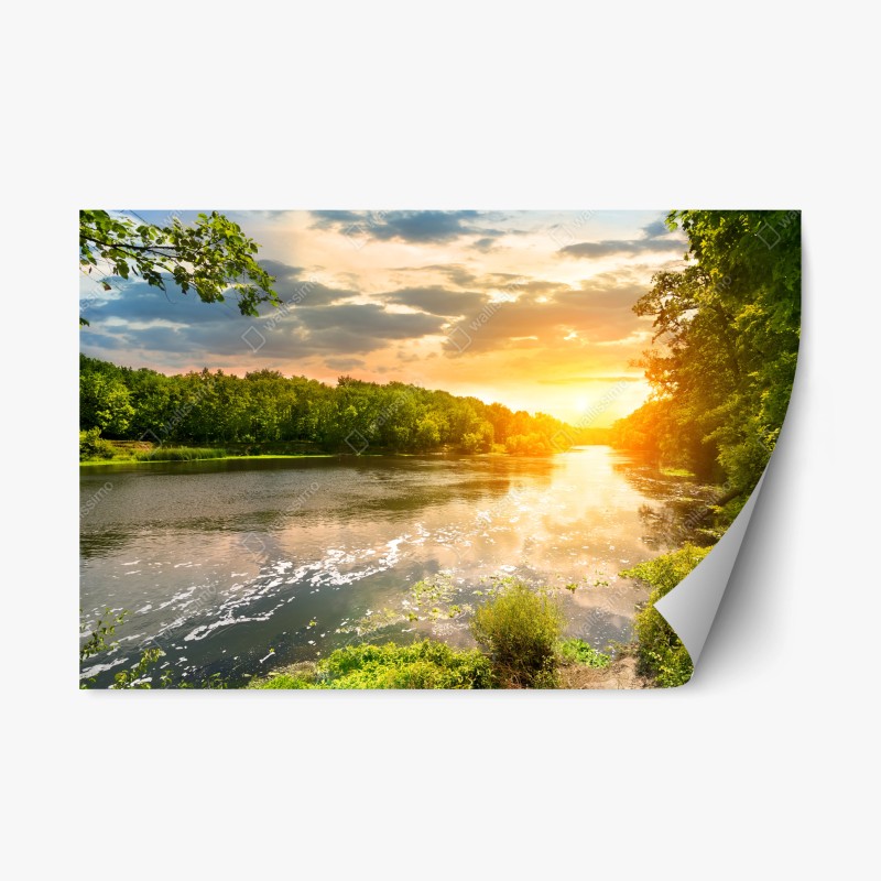 Naklejka repozycjonowalna spokojny zachód słońca nad rzeką i zielonym lasem