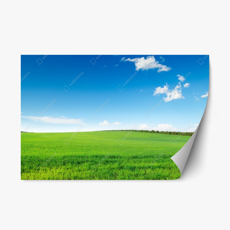 Naklejka repozycjonowalna spokojna zielona łąka pod niebieskim niebem