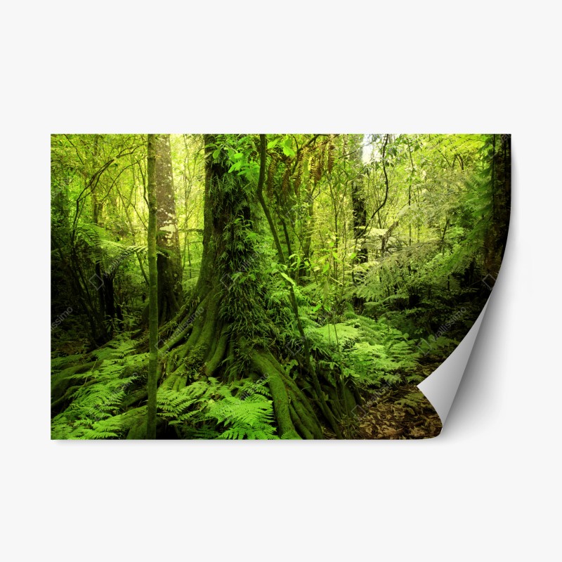 Naklejka repozycjonowalna bujna tropikalna dżungla