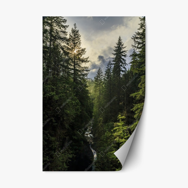 Naklejka repozycjonowalna mglisty iglasty las z wodospadem