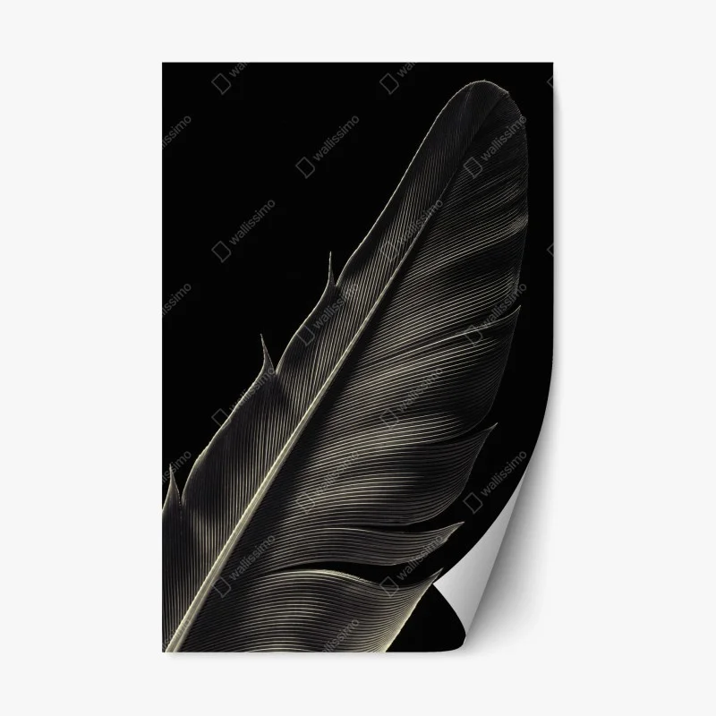 Naklejka repozycjonowalna delikatne pióro w makrofotografii