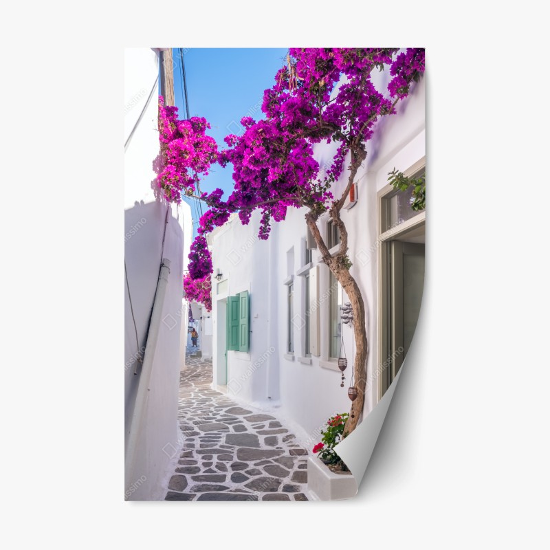 Naklejka repozycjonowalna słoneczna śródziemnomorska uliczka z bugenwillą