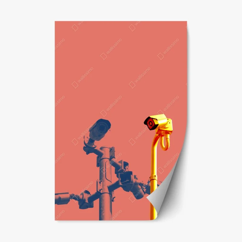 Naklejka repozycjonowalna duotone kamery nadzoru na koralowym tle