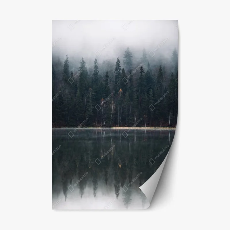 Naklejka repozycjonowalna mglista refleksja w lesie