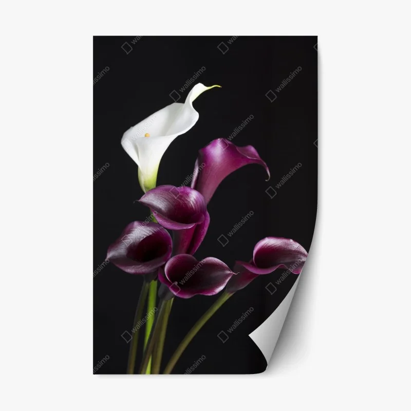 Naklejka repozycjonowalna bukiet fioletowych i białych kalii