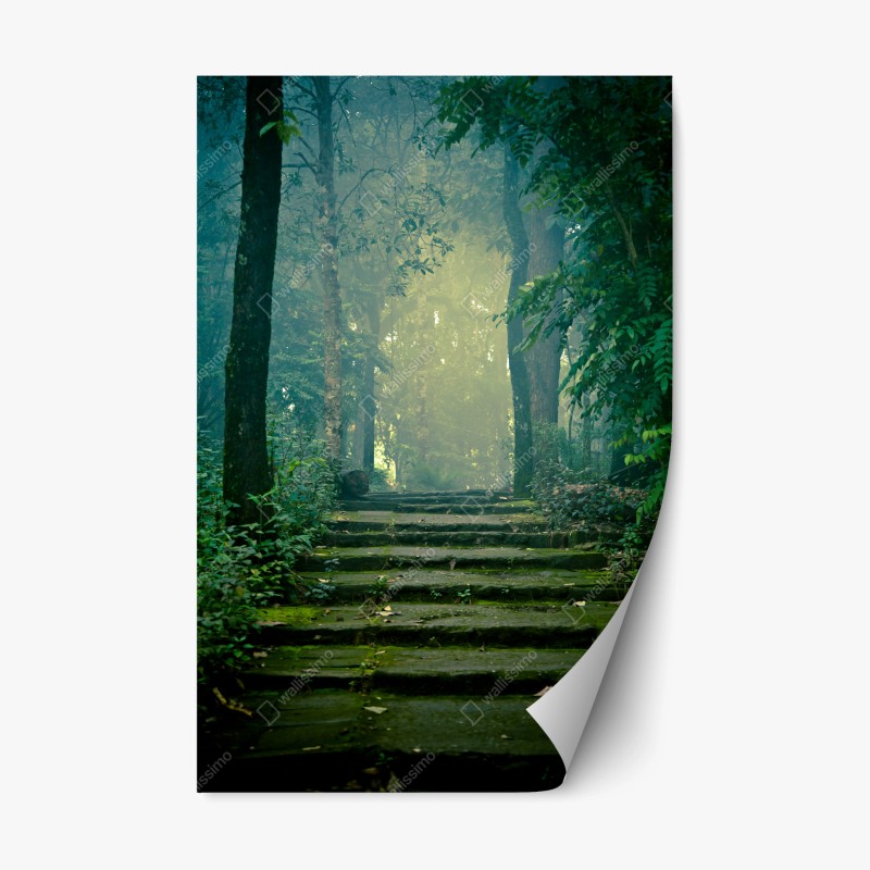 Naklejka repozycjonowalna mchowe kamienne schody do mglistego lasu
