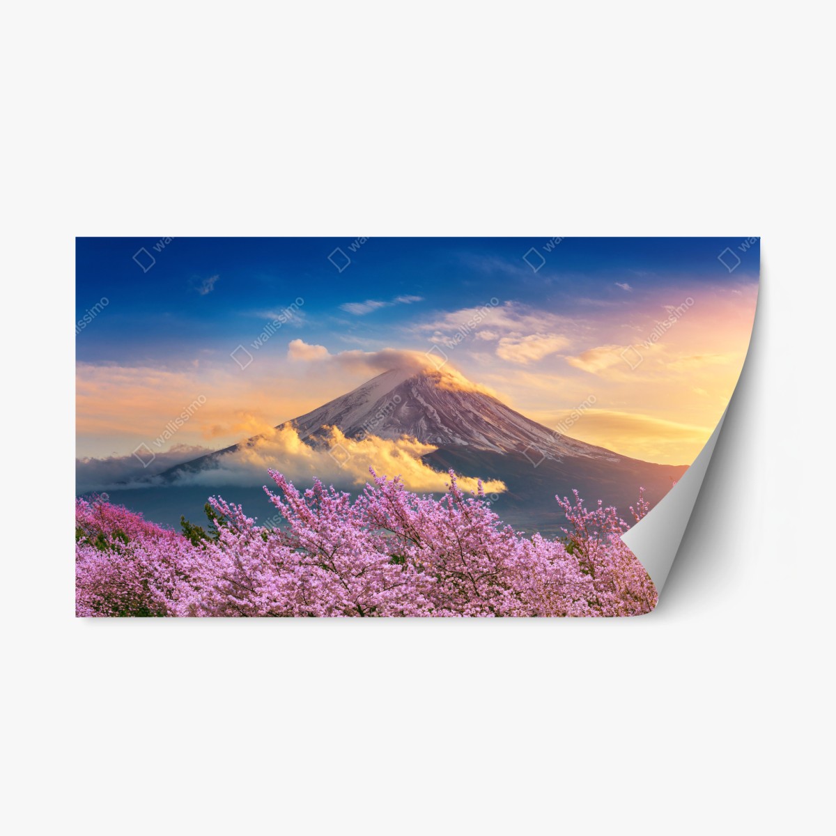 Naklejka repozycjonowalna Góra Fuji z kwitnącą sakurą o wschodzie słońca – Wallissimo®