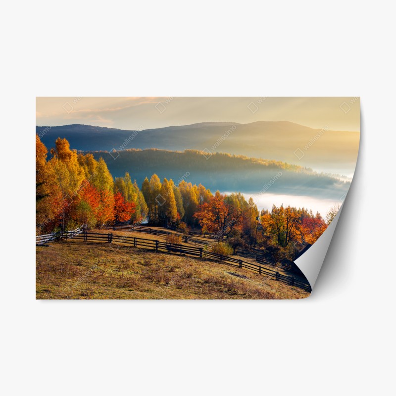 Naklejka repozycjonowalna mglisty jesienny wschód słońca na wsi