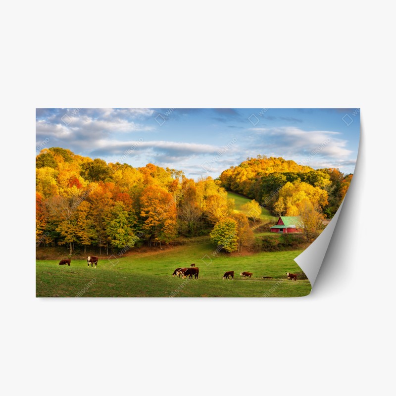 Naklejka repozycjonowalna jesienny krajobraz wiejski z czerwoną stodołą