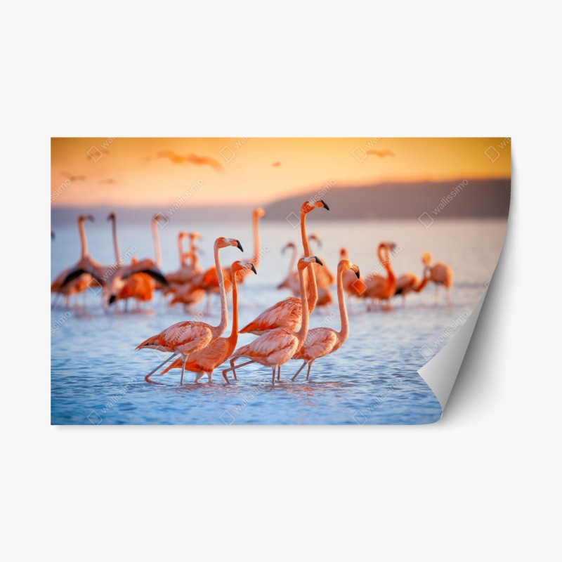 Naklejka repozycjonowalna różowe flamingi o zachodzie słońca