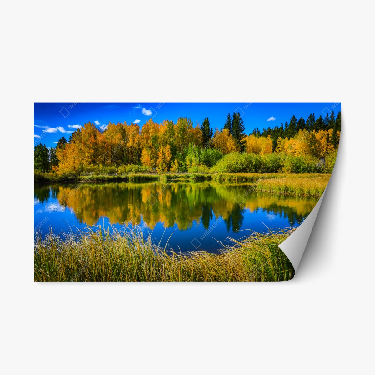 Naklejka repozycjonowalna jesienne drzewa odbite w spokojnym jeziorze – Wallissimo®