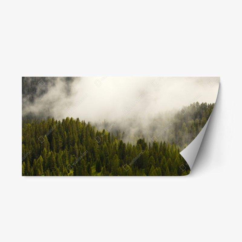 Naklejka repozycjonowalna mglisty las iglasty