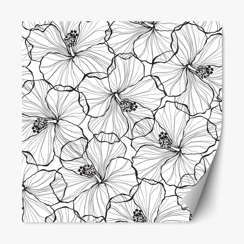 Naklejka repozycjonowalna czarno-biały hibiskus w stylu line art