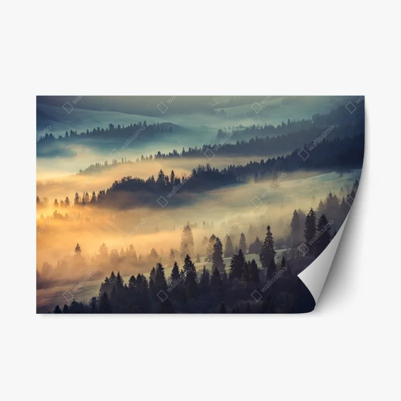 Naklejka repozycjonowalna mglisty górski las o wschodzie słońca