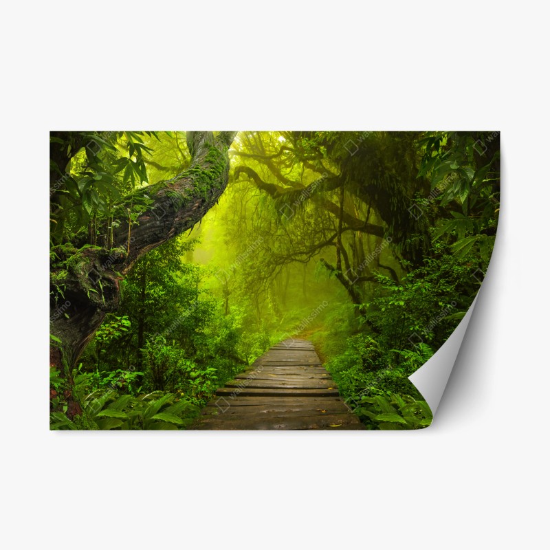 Naklejka repozycjonowalna mistyczna zielona ścieżka w lesie