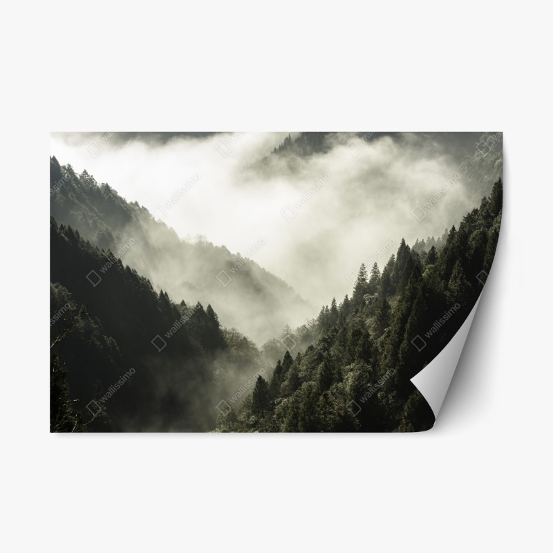 Naklejka repozycjonowalna mglista górska dolina
