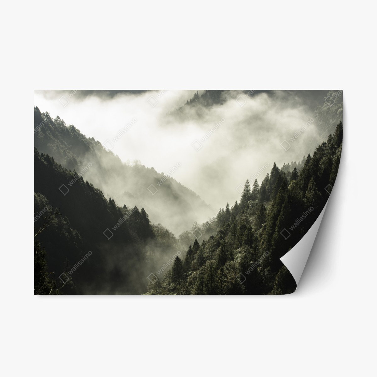Naklejka repozycjonowalna mglista górska dolina – Wallissimo®