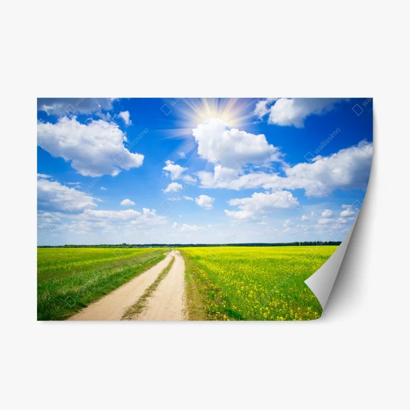 Naklejka repozycjonowalna żółte pole rzepaku pod błękitnym niebem