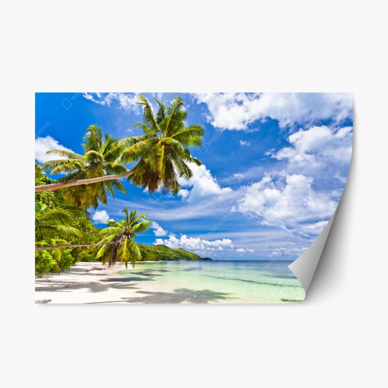 Naklejka repozycjonowalna tropikalna plaża z palmami