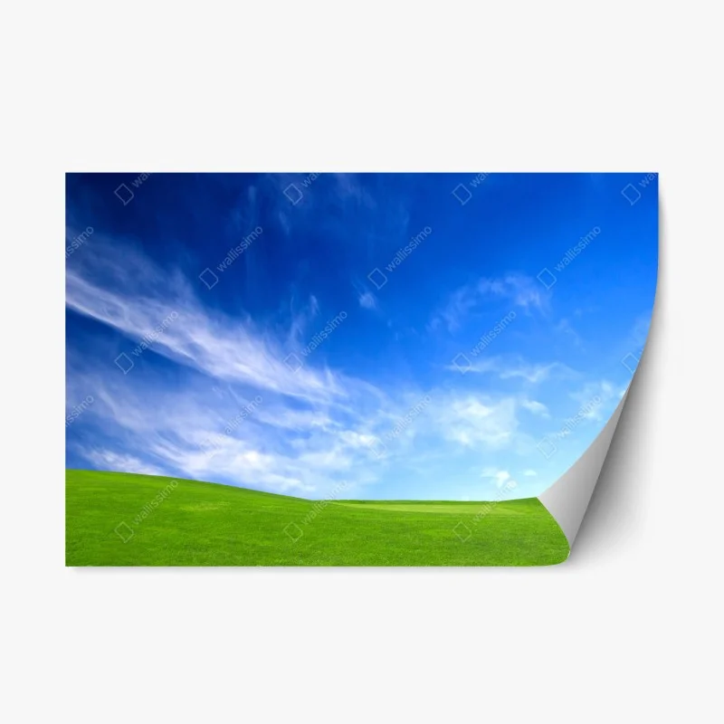 Naklejka repozycjonowalna słoneczna zielona łąka pod niebieskim niebem