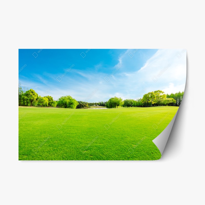 Naklejka repozycjonowalna spokojna zielona łąka pod błękitnym niebem