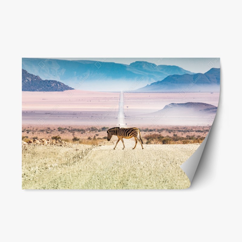 Naklejka repozycjonowalna zebra na pustynnej drodze