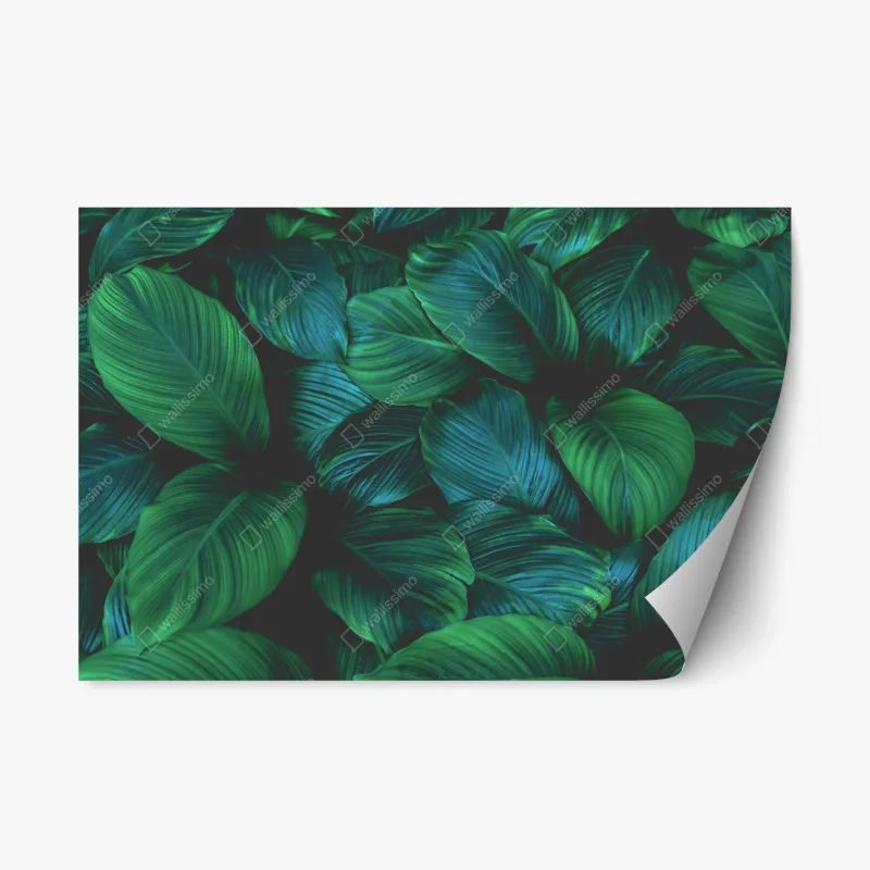 Naklejka repozycjonowalna bujne tropikalne liście