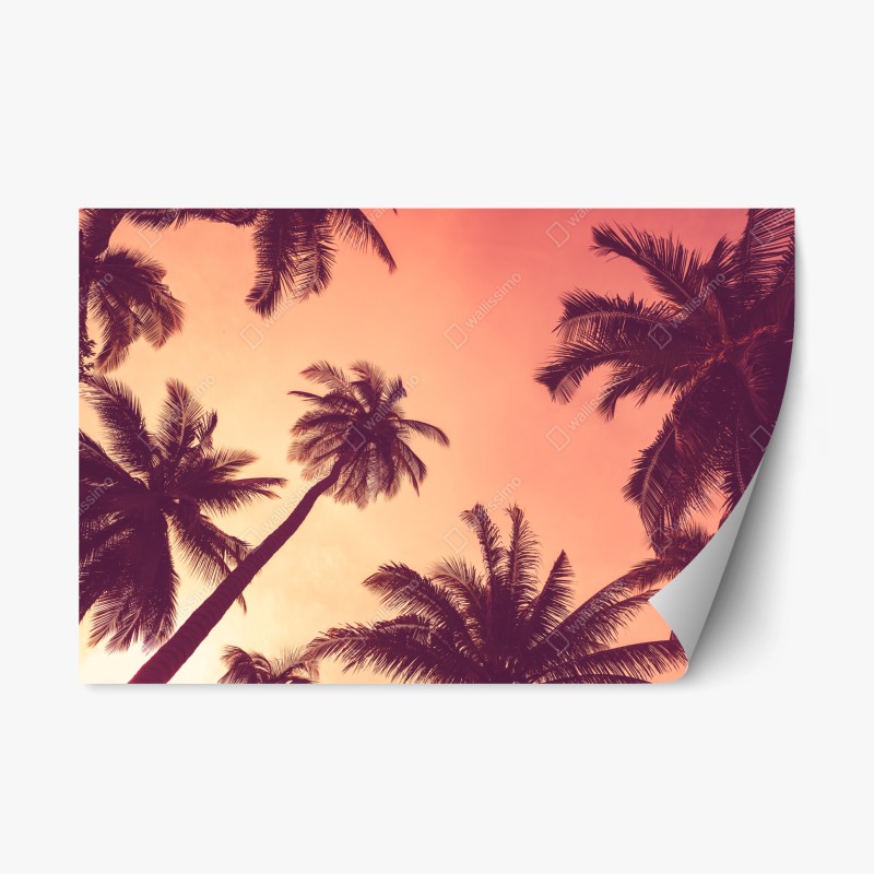 Naklejka repozycjonowalna tropikalne palmy o zachodzie słońca