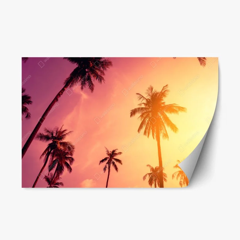 Naklejka repozycjonowalna tropikalny zachód słońca z palmami
