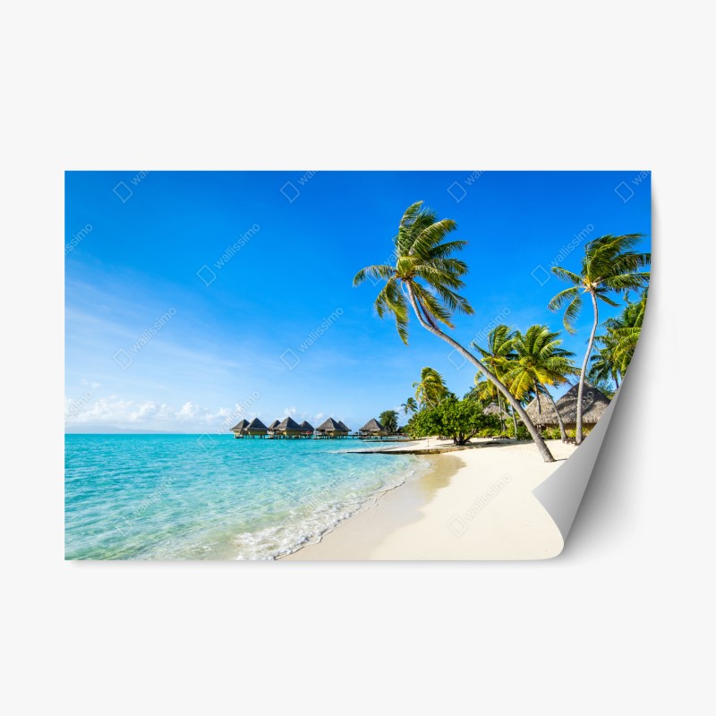 Naklejka repozycjonowalna tropikalna turkusowa plaża z palmami