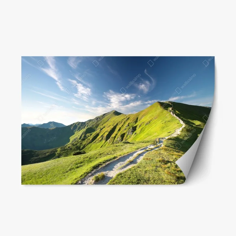 Naklejka repozycjonowalna słoneczny grzbiet górski ze ścieżką