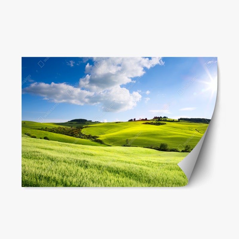 Naklejka repozycjonowalna Toskania zielone wzgórza o zachodzie słońca