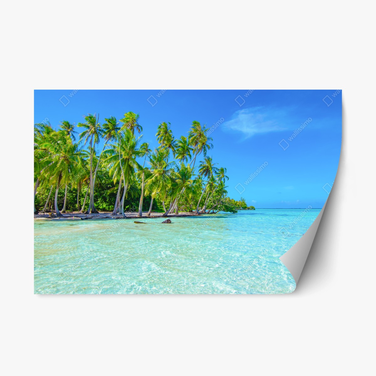 Naklejka repozycjonowalna tropikalna plaża z palmami – Wallissimo®