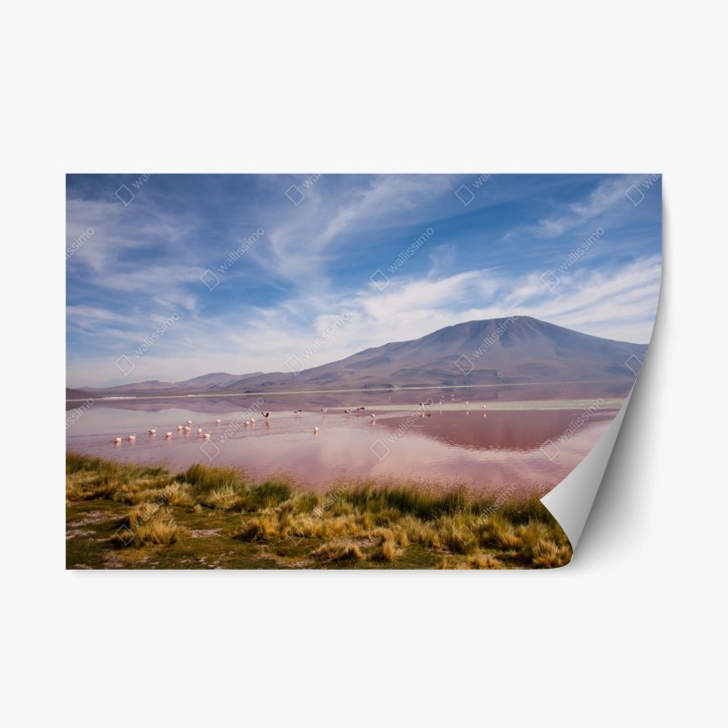 Naklejka repozycjonowalna różowa laguna z flamingami i odbiciem gór