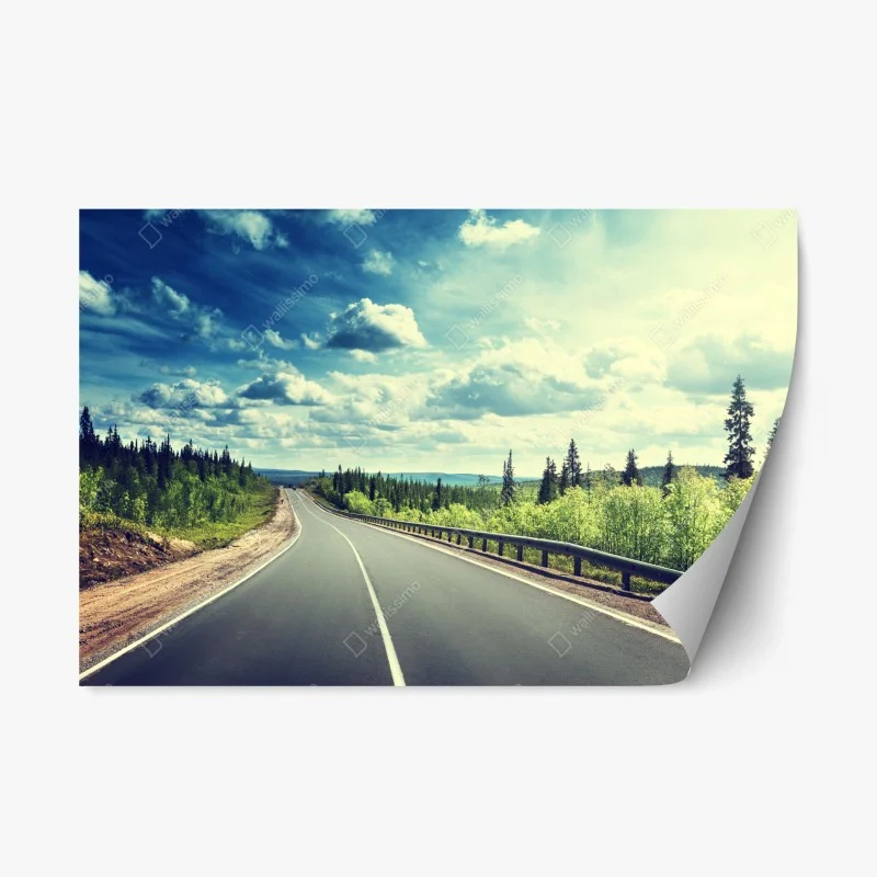 Naklejka repozycjonowalna słoneczna leśna droga ku horyzontowi