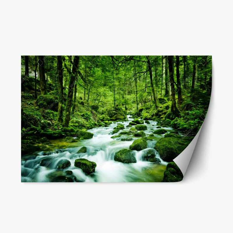 Naklejka repozycjonowalna mechowy strumień w lesie