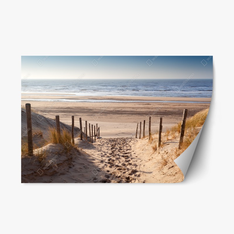 Naklejka repozycjonowalna słoneczna ścieżka nad Morzem Północnym