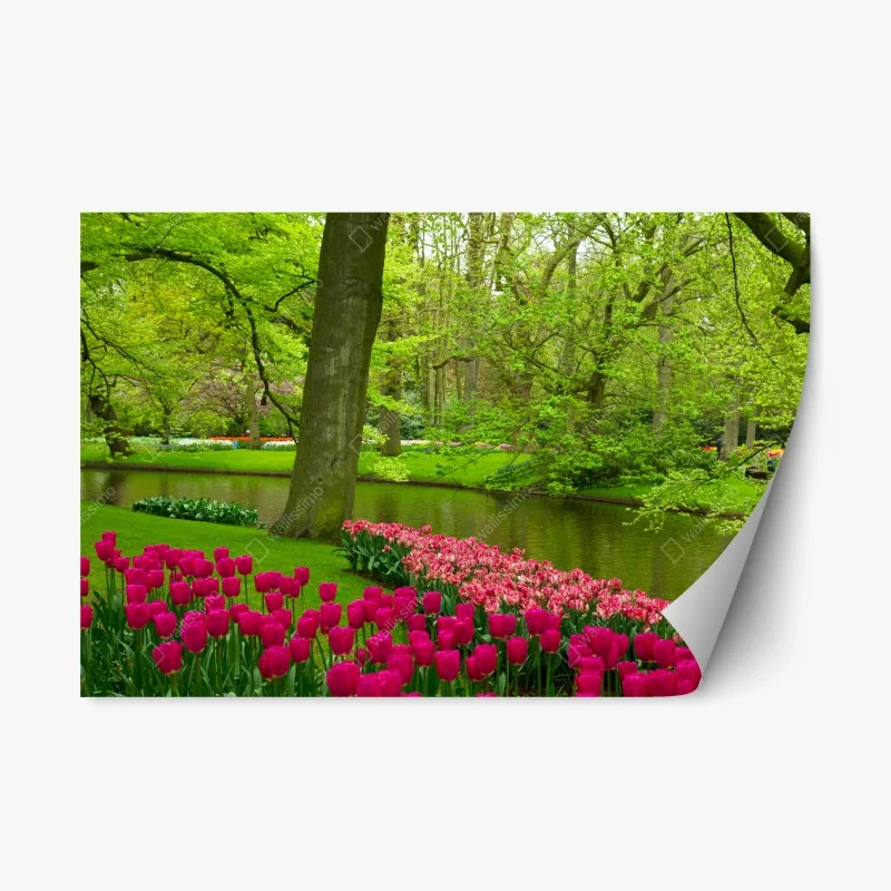 Naklejka repozycjonowalna wiosenny ogród tulipanów nad kanałem
