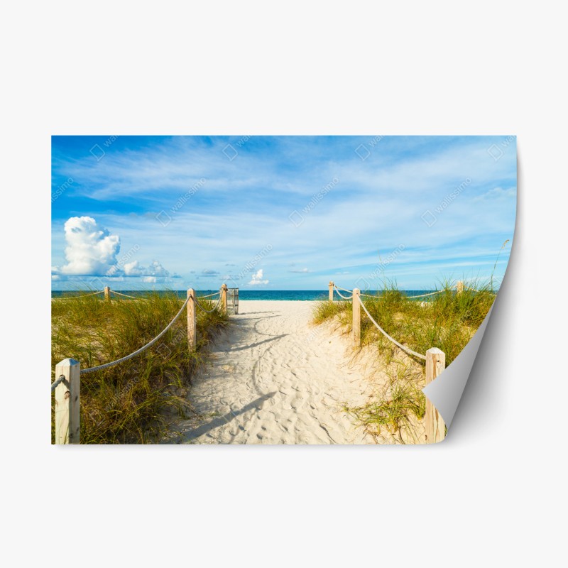 Naklejka repozycjonowalna ścieżka na plażę w Miami