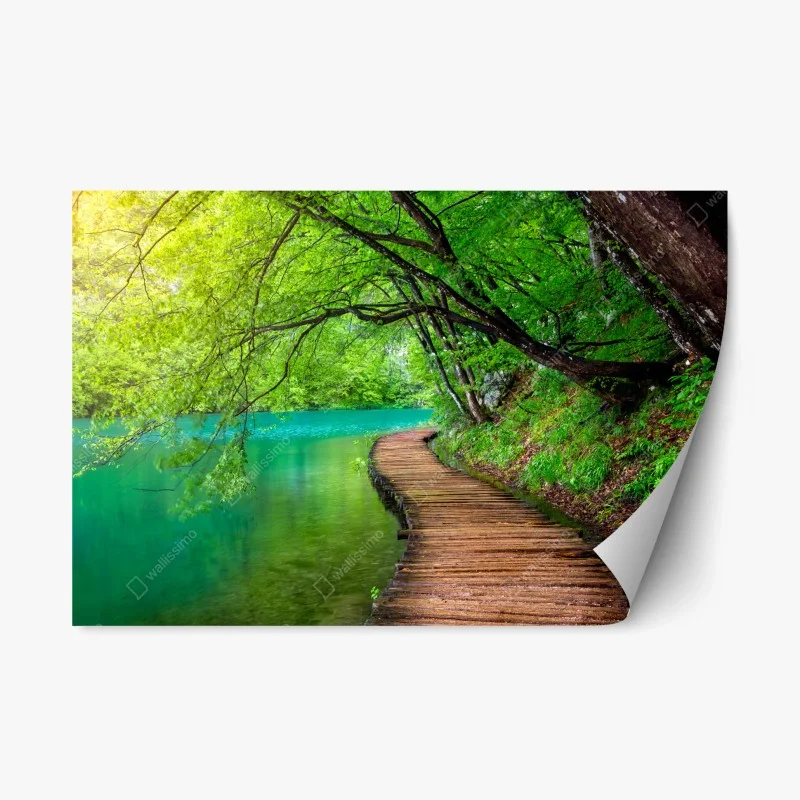 Naklejka repozycjonowalna spokojny drewniany pomost nad jeziorem w zielonym lesie