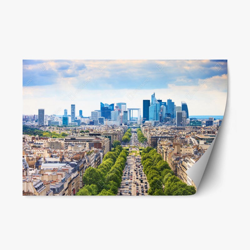 Naklejka repozycjonowalna Paryż panorama miasta z aleją obsadzoną drzewami
