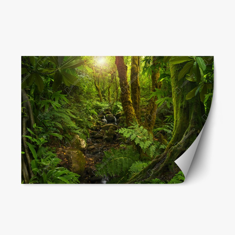 Naklejka repozycjonowalna porośnięty mchem leśny potok