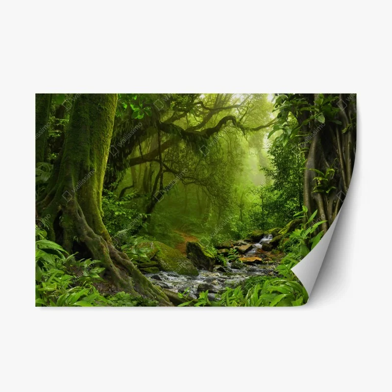 Naklejka repozycjonowalna zaczarowany zielony leśny strumień