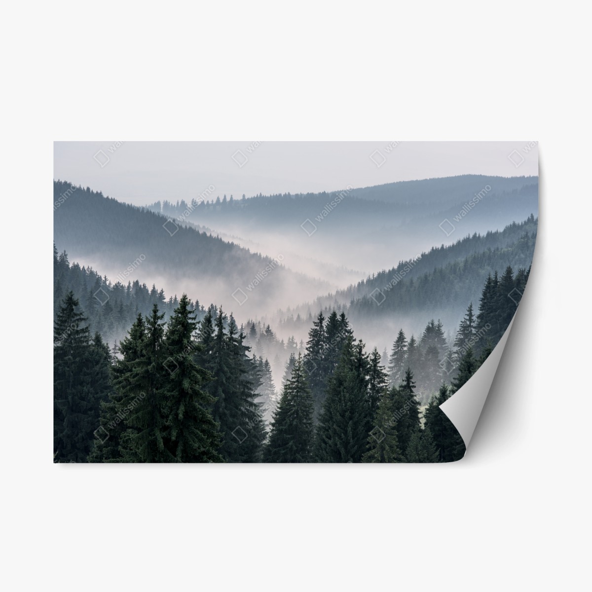 Naklejka repozycjonowalna mglisty górski las – Wallissimo®