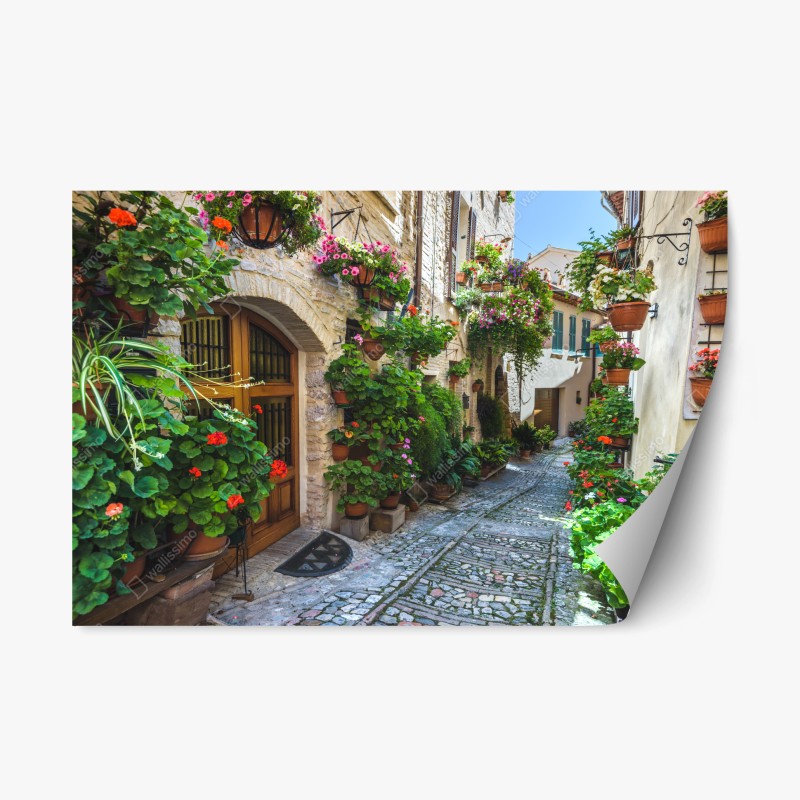 Naklejka repozycjonowalna uroczy zaułek w Spello, Włochy