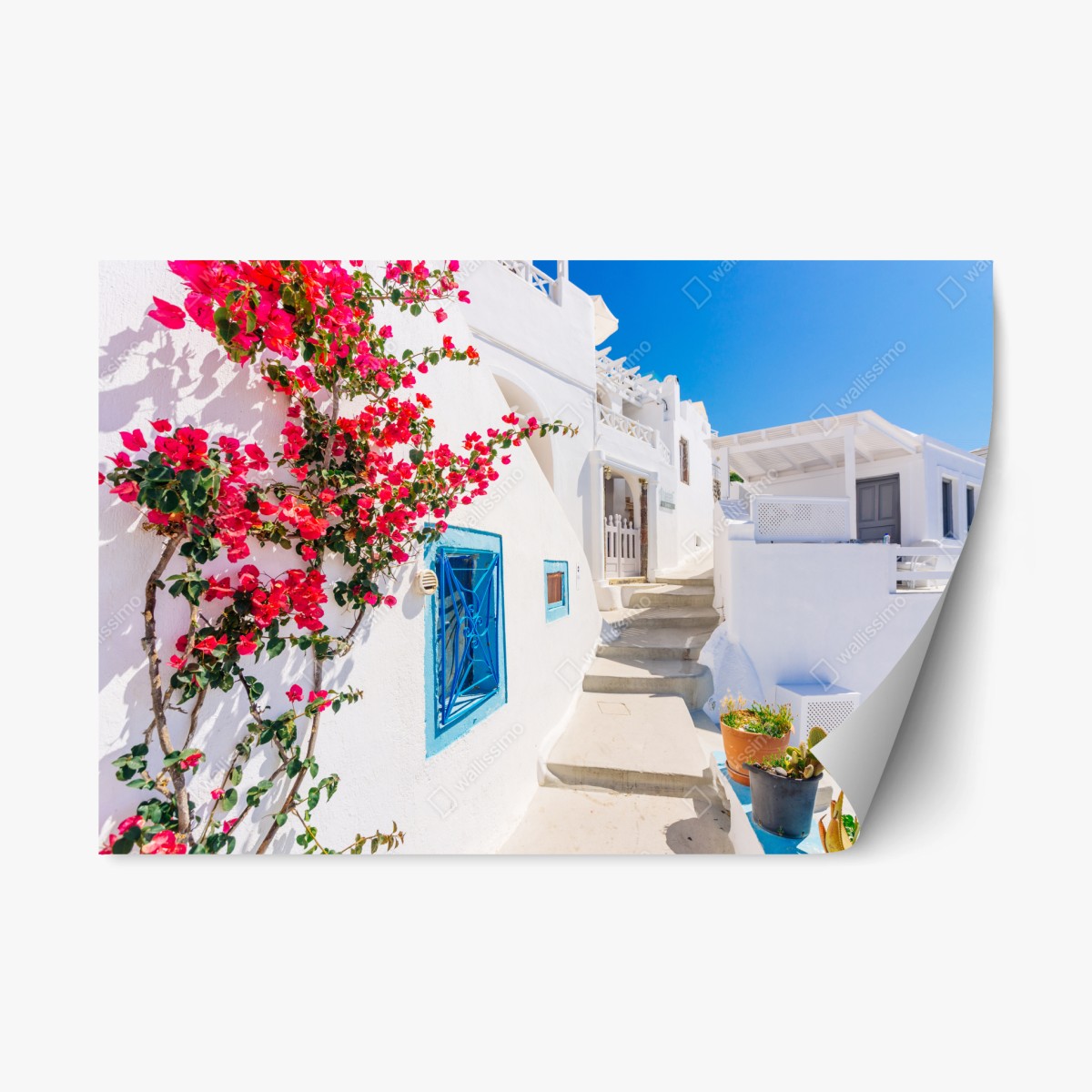 Naklejka repozycjonowalna Santorini biała uliczka z bugenwillą – Wallissimo®