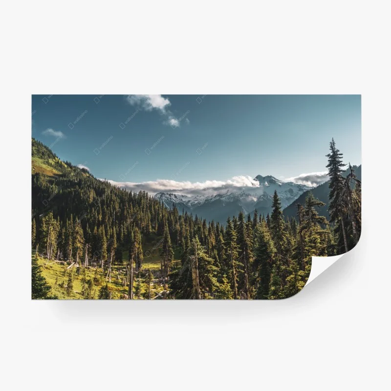 Fototapeta malowniczy górski las
