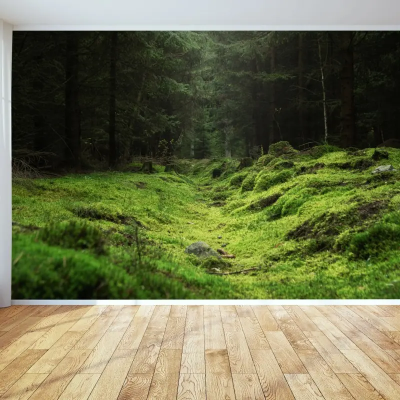 Fototapeta mchowy leśny szlak