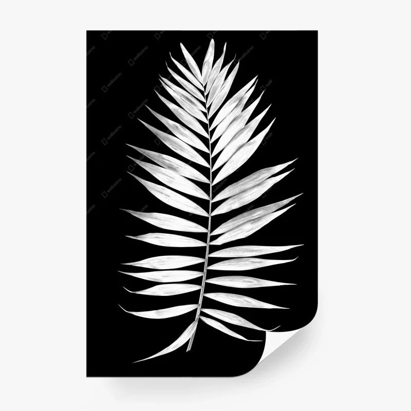 Fototapeta monochromatyczny liść palmy