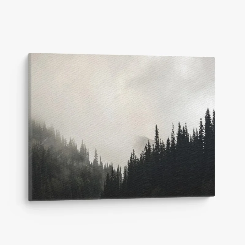 Obraz na płótnie mglisty iglasty las